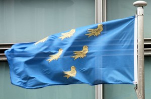 Flag of the county of Sussex