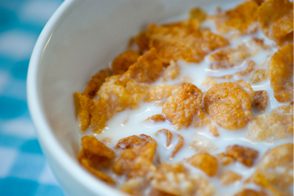 Close-up of a bowl of cornflakes
