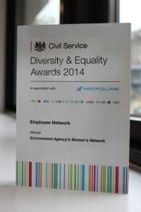 Civil Service Diversity Award 2014: Employee Network won by Environment Agency's Women's Network