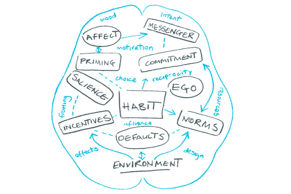 Brain-shaped flow diagram for behavioural sciences