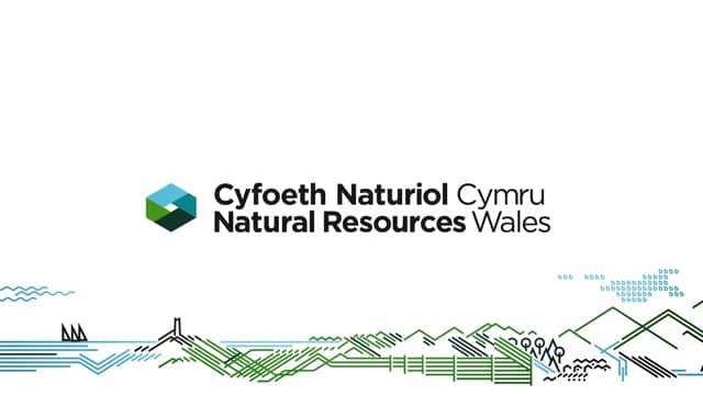 Natural Resources Wales logo