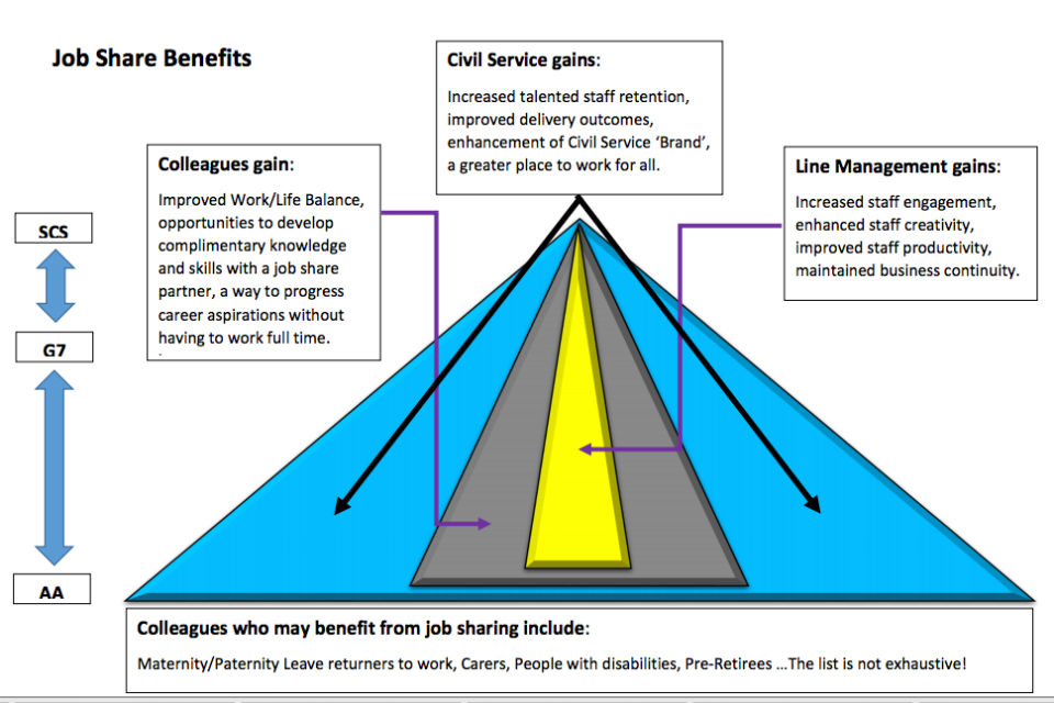 Infographic