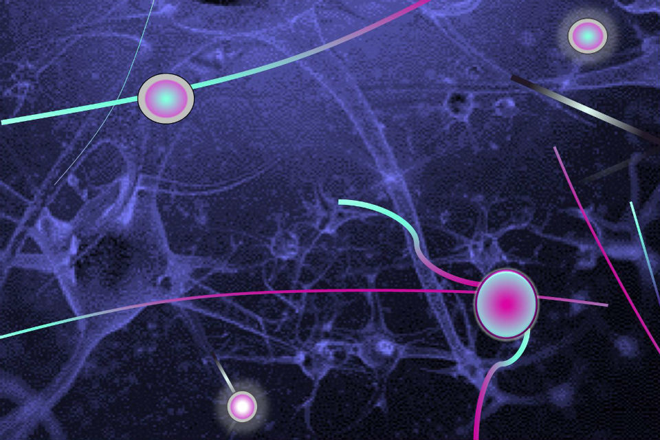 Visualisation of neurons firing in the brain