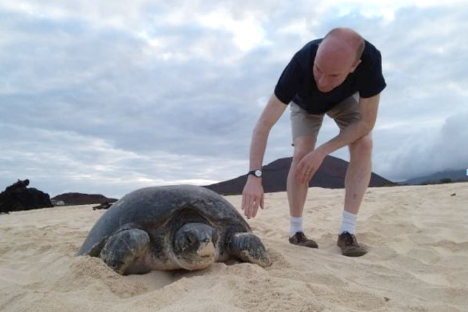 Man in shorts on beach with sea turtle