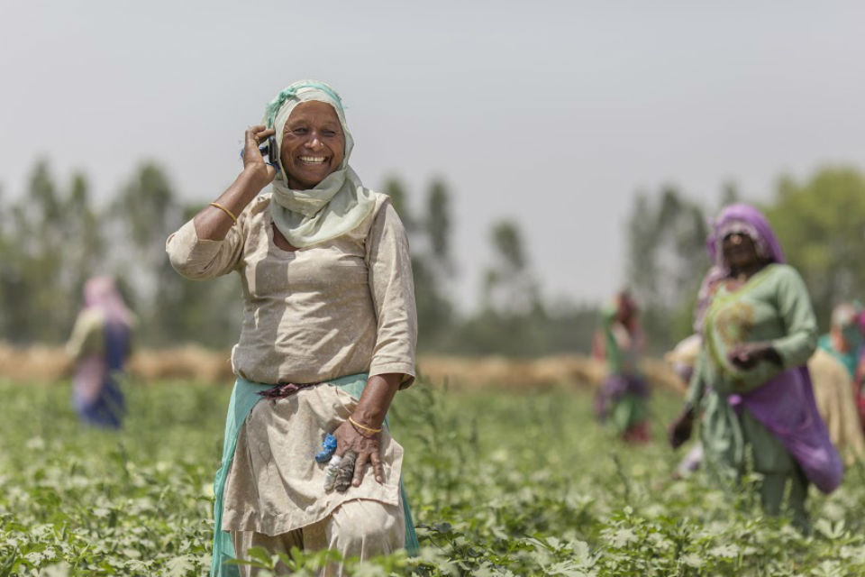 Woman with mobile phone in field of green crops