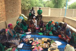 Women's group meeting in Africa