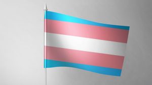 Transgender flag on flagpole