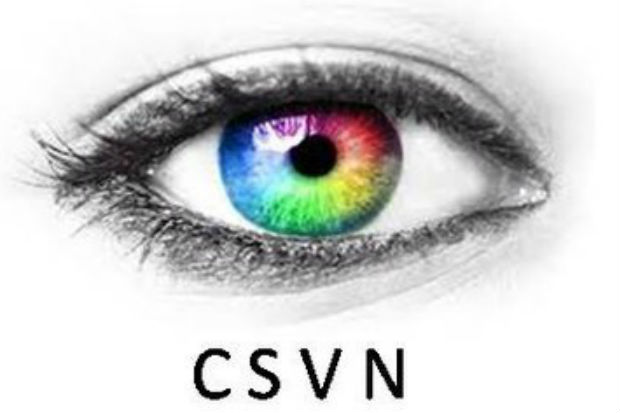 Logo of the Civil Service Visual Network with the initials 'CSVN' beneath a close-up image of an eye with the iris picked out in the colours of the rainbow