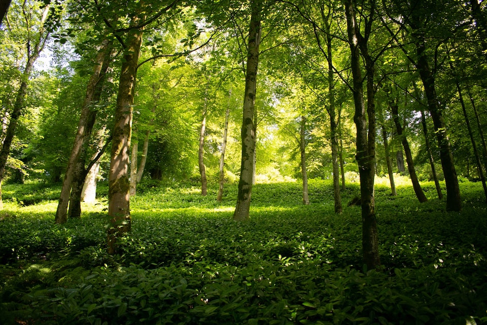 Getting back to nature can do wonders for mental health