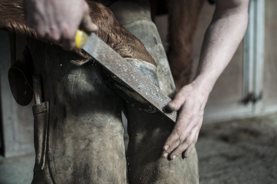 A farrier at work