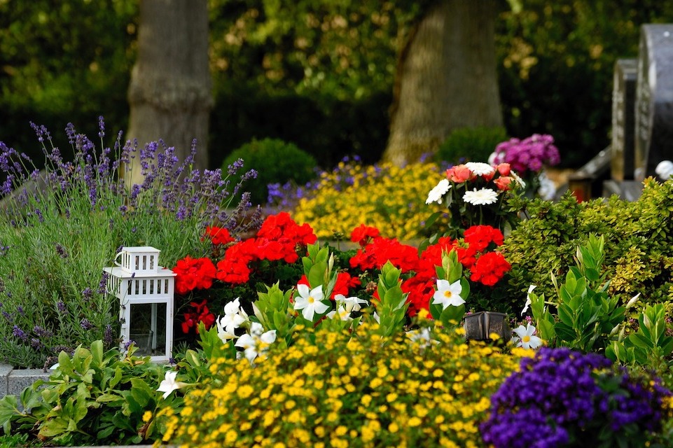 Image of grave surrounded by flowers