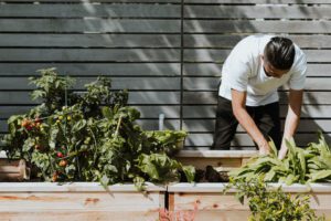 Image of man gardening to promote COP 26