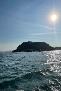 Puffin Island, Anglesey