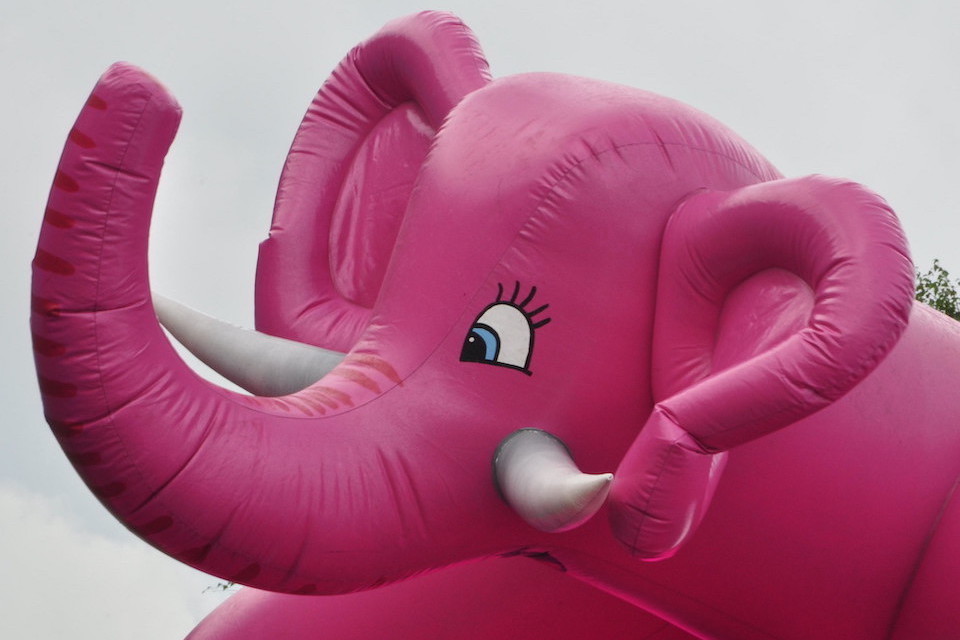 Image of a pink elephant