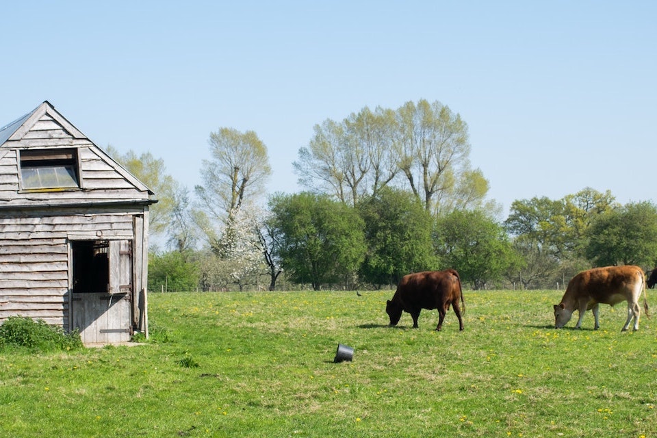 The Domesday Book was a survey of everything in England and Wales, including buildings, land and livestock.”